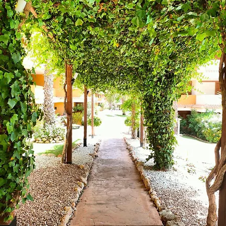La Entrada Club Lejlighed Torrevieja
